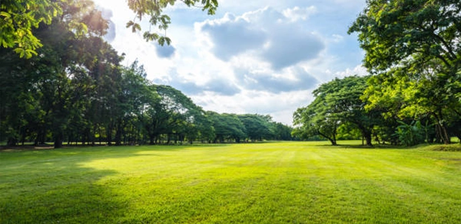 Acres Of Green Spaces